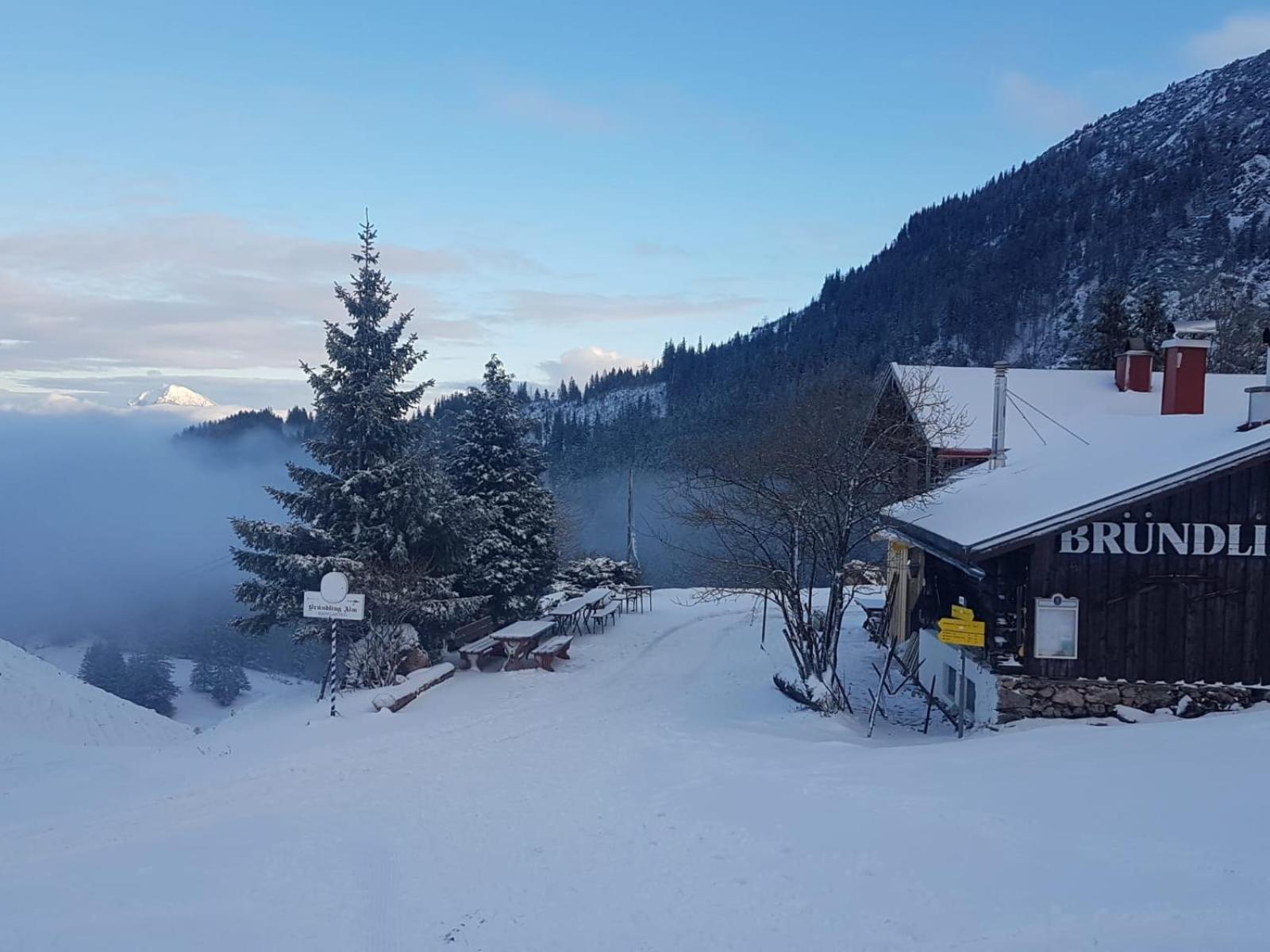 Bruendling-Alm Berggasthof Auf 1167M Auf Dem Hochfelln Берген Екстериор снимка