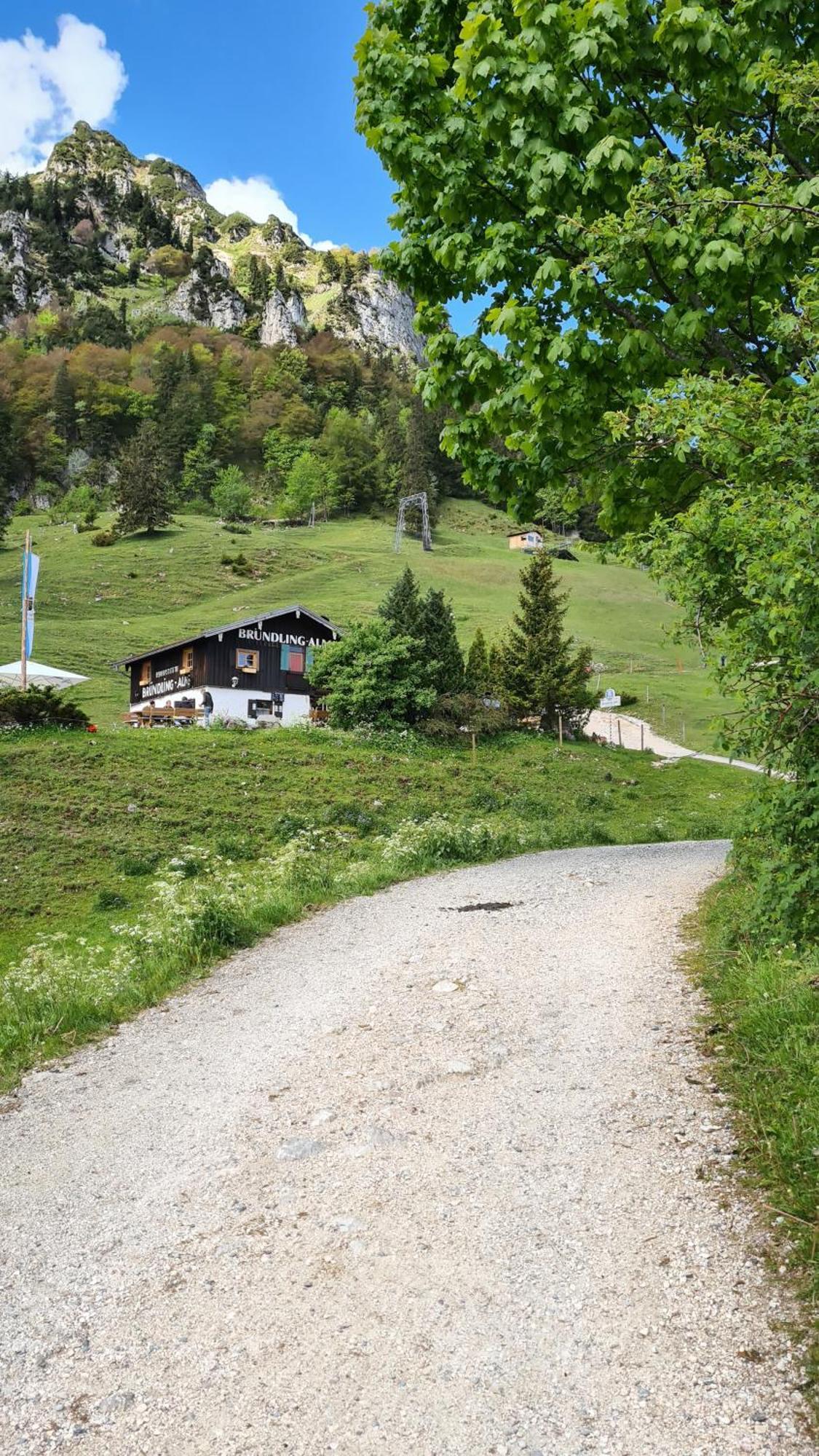 Bruendling-Alm Berggasthof Auf 1167M Auf Dem Hochfelln Hotel Берген Екстериор снимка